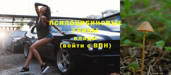 2c-b Абинск
